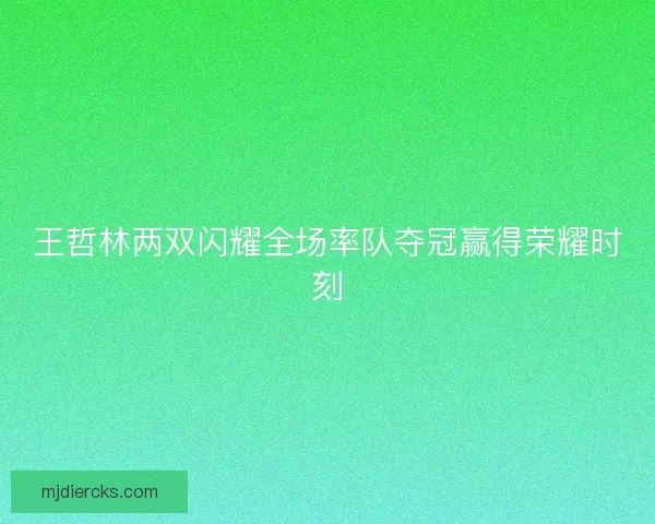 王哲林两双闪耀全场率队夺冠赢得荣耀时刻